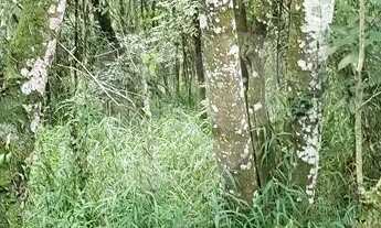 Imagem 4: Terreno à venda em Caraguatá - SP