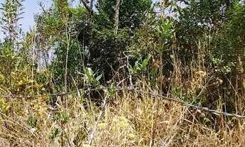 Imagem 6: Chácara em Ravena