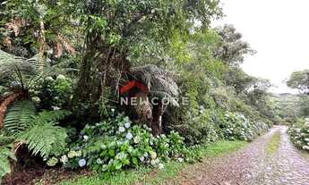 Imagem 4: Lote em Rua 21 - Alpes - São Francisco de Paula/RS