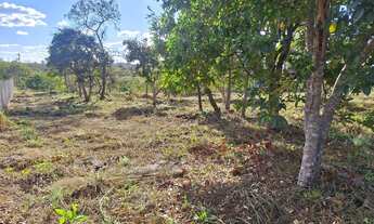 Imagem 6: OPORTUNIDADE ÚNICA. LEIA O ANÚNCIO