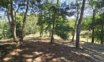Imagem 2: Lote no Aldeia do Vale 4.253m²