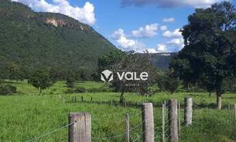 Imagem 3: Fazenda à venda, 571120 m² por R$ 3.000.000,00 - Plano Diretor Norte - Palmas/TO