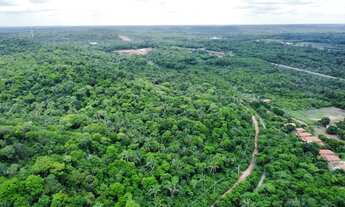 Imagem 4: Grande área de Terreno a venda em Teresina, na margem da Br-343 com 38 hectares