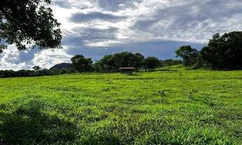 Imagem 3: Fazenda Extra 30 Alqueires!