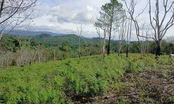 Imagem 6: Chácara para Venda, Centro