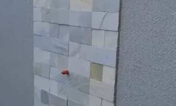 Imagem 3: Casa diferenciada Boa Esperanca