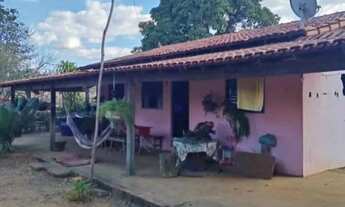 Imagem 6: SITIO 14.5 HECTARES A 22 KM DE MONTES CLAROS NOVA ESPERANÇA / OU ESTRADA PRODUÇÃO