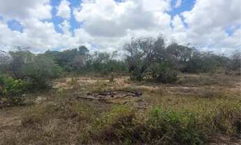 Imagem 3: 2 terrenos medindo 20/40