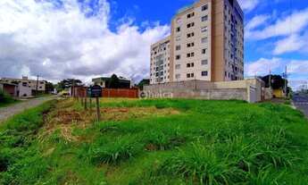 Imagem 3: Lote/Terreno para aluguel, no bairro Ininga, Teresina/PI