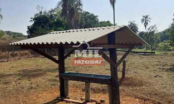 Imagem 6: Fazenda 16,6 alqueires (80,3 hectares) Pirenópolis - GO