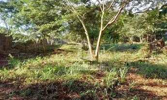 Imagem 3: Terreno para alugar, 5400 m² por R$ 6.000,00/mês - Ribeirânia - Ribeirão Preto/SP