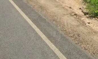 Imagem: Terreno lotes no Paracuru