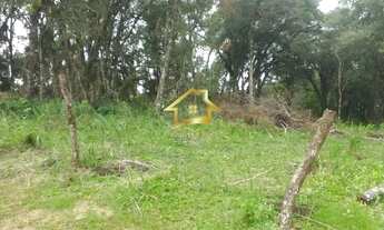 Imagem 3: TERRENO EM CAMPINA GRANDE DO SUL