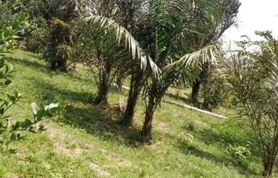 Imagem 15: Vendo ou troco por casa