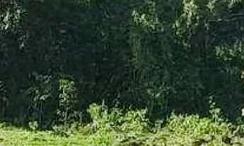 Imagem 9: Chácara à venda em Boa Vista da Aparecida