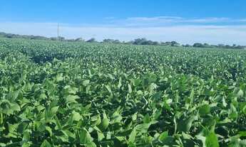 Imagem 4: Sitio 18 ectares valor 800.000