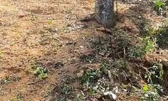 Imagem 2: VENDO TERRENO Terreno / lote com venda por R$39.999