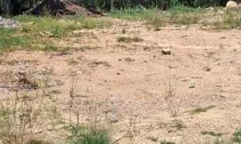 Imagem 3: Terreno estrada da ribeira