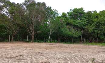 Imagem: Terreno 60x100m Árvores Verdes