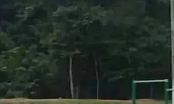 Imagem 4: Lotes Pronto para Construir Nova Manaus