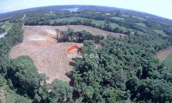 Imagem 2: Sítio em Área Rural - Área Rural de Araucária - Araucária/PR