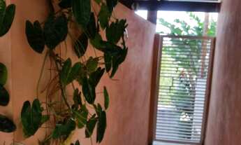 Imagem 3: Alugo Quarto Quarto com aluguel por R$450 /mês