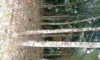 Imagem 3: Simplesmente maravilhoso 3500 MTS em local reservado 87 mil reais