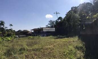 Imagem: Joinville - Terreno Padrão - Floresta