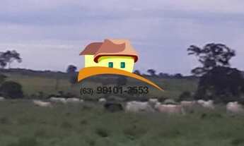 Imagem 5: Fazenda para Venda, Região produtora em expansão