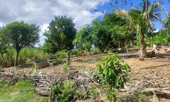 Imagem 7: IBIUNA - Chácara - SP