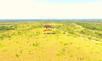 Imagem 4: Fazenda para Venda, Vale do Araguaia