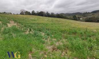 Imagem 7: Terreno Rural para Venda em Campo Largo, Retiro