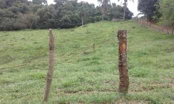 Imagem 2: Sítio 7 alqueires , eucaliptos ,pasto ,mata nativa em Atibaia SP
