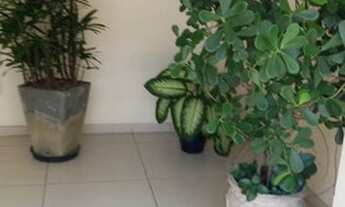 Imagem 3: Apartamento três quartos Ponta Verde