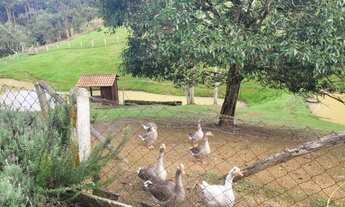 Imagem 5: Linda chácara com 30.000 m² coladinha do centro de Campo Alegre/SC
