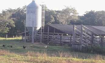 Imagem 2: Fazenda Espetacular em Buritis MG