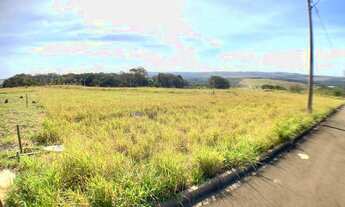 Imagem 3: Lote de 1000m² Vista Alegre