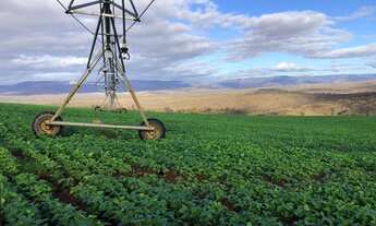 Imagem 3: Fazenda/Sítio/Chácara para venda possui 9260000 metros quadrados com 3 quartos