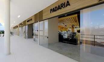 Imagem 7: Oportunidade lançamento apartamento quarto e sala São Pedro