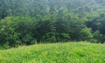 Imagem 5: Chácara no Interior de Taquara divisa com São Chico, consulte entrada e parcelamento