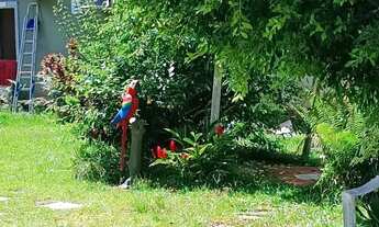 Imagem 3: Chalé em Mosqueiro Chapéu Virado