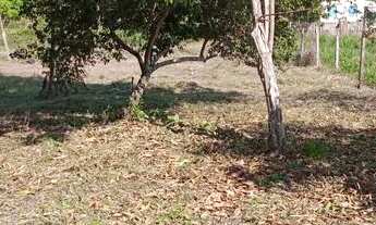 Imagem 2: Vende-se terreno no polo Benfica