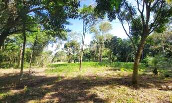 Imagem 2: Velleda oferece bonito sítio, na Águas Claras