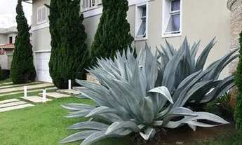 Imagem: CA03836 - SUNTUOSO IMÓVEL SEMI MOBILIADO