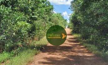 Imagem 7: Fazenda à venda, 1.248 hectares por R