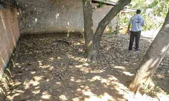 Imagem 3: Lote 500 MTS Av independência