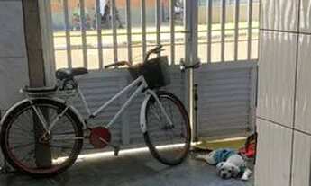 Imagem 7: Alugo 2 casas no Radio clube