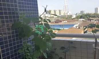 Imagem 5: ÓTIMO APARTAMENTO NO BAIRRO PEDREIRA - MONGAGUÁ - SP