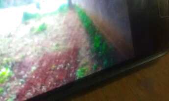 Imagem 4: Vendo terreno em Itapetininga 410 MT