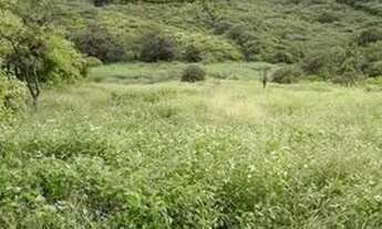 Imagem 7: Terreno Casa a venda no Sitio Caititu